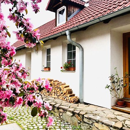Apartmany Jílovice Buitenkant foto
