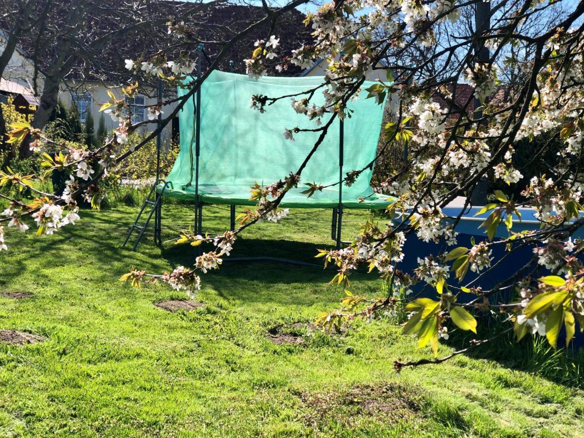 Apartmany Jílovice Buitenkant foto
