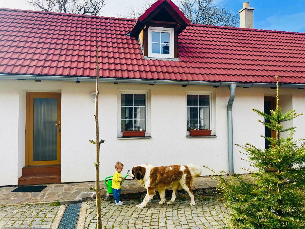 Apartmany Jílovice Buitenkant foto