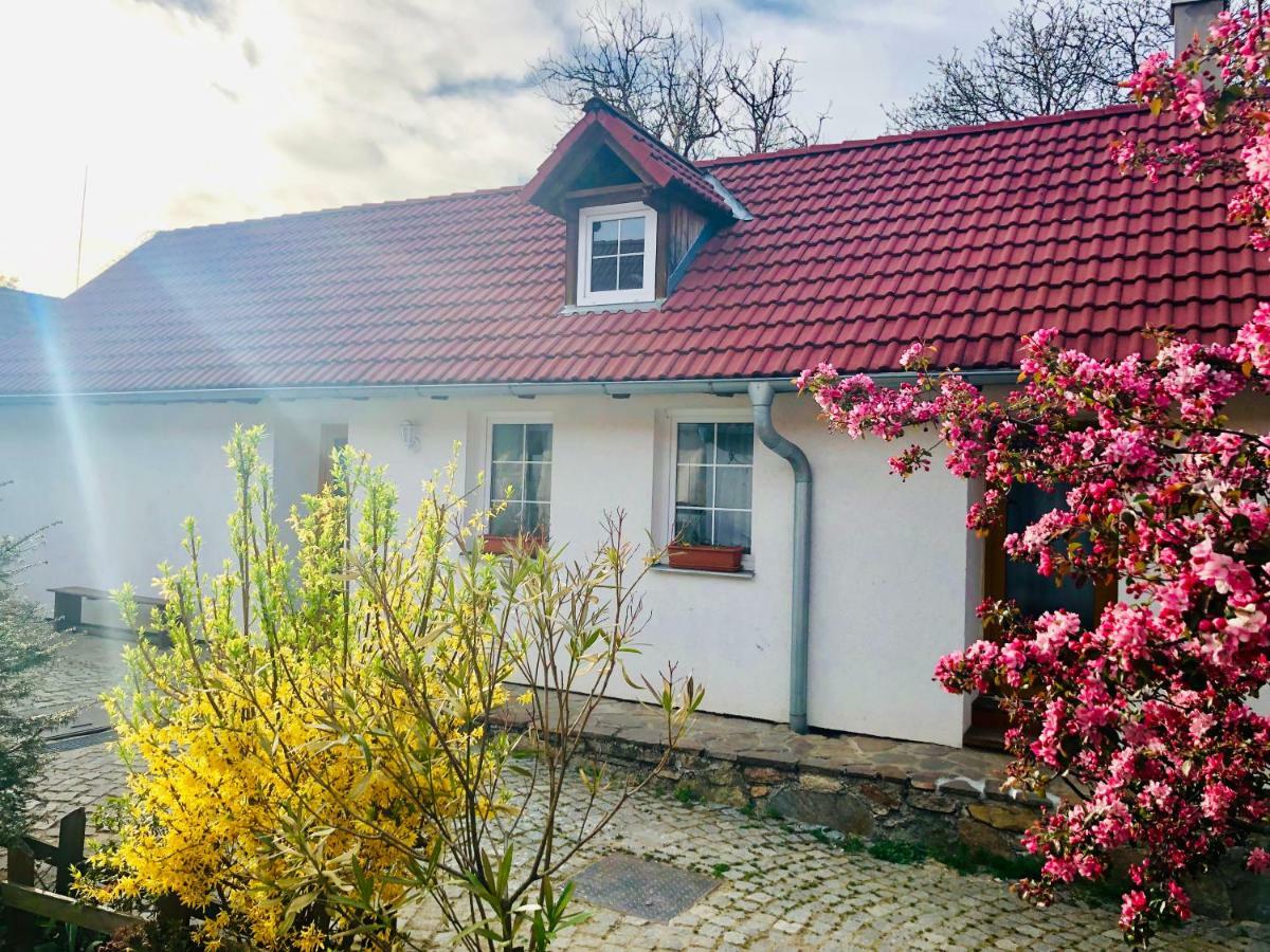 Apartmany Jílovice Buitenkant foto